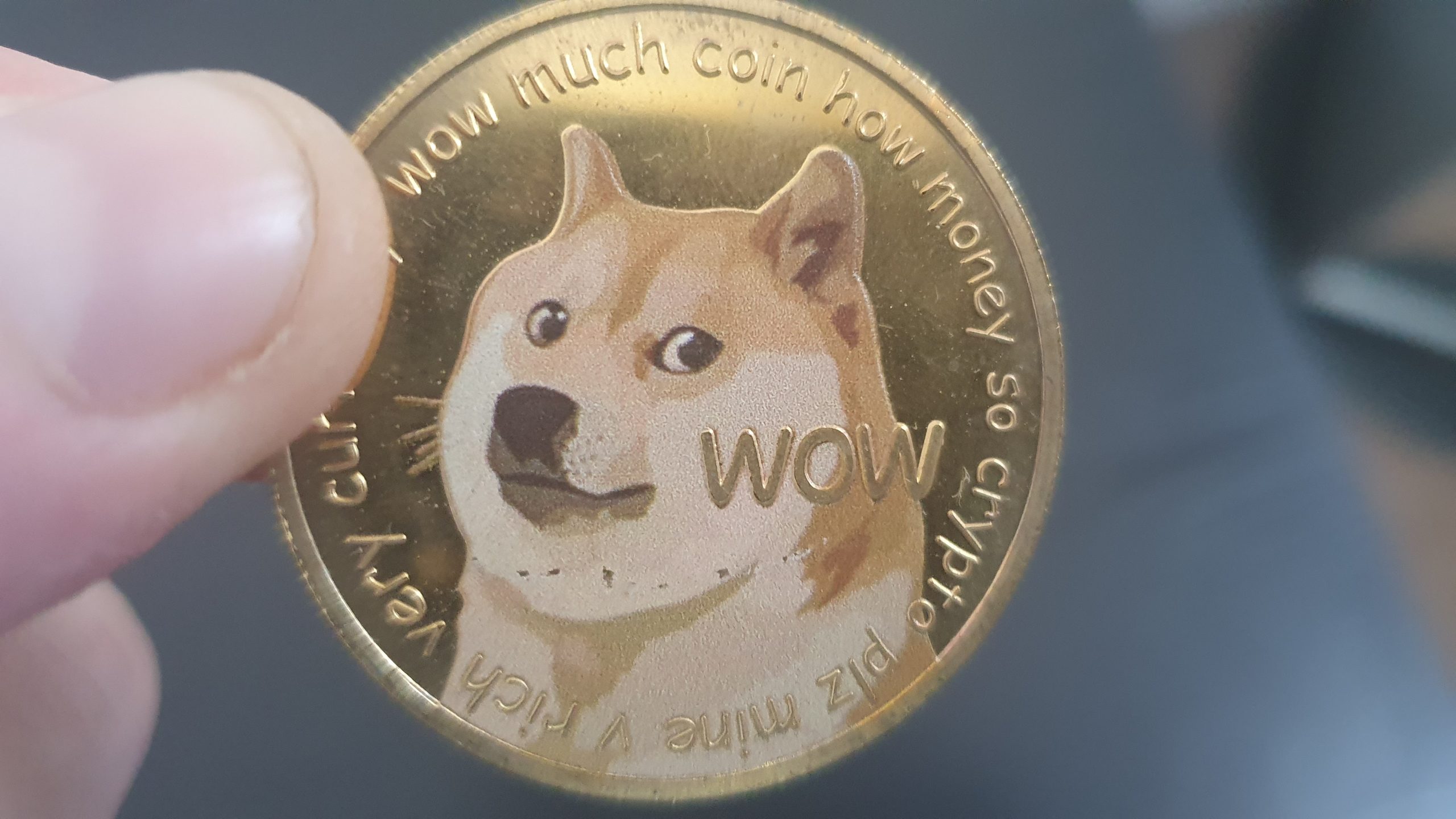 dogecoin scaled