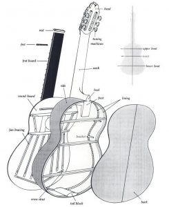 guitar guitar